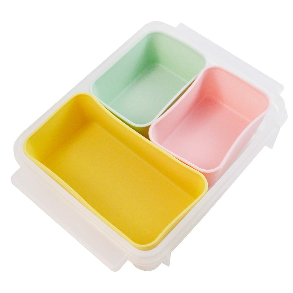 Skater Freezer Storage Containers for Meal Prep and Bento Boxes