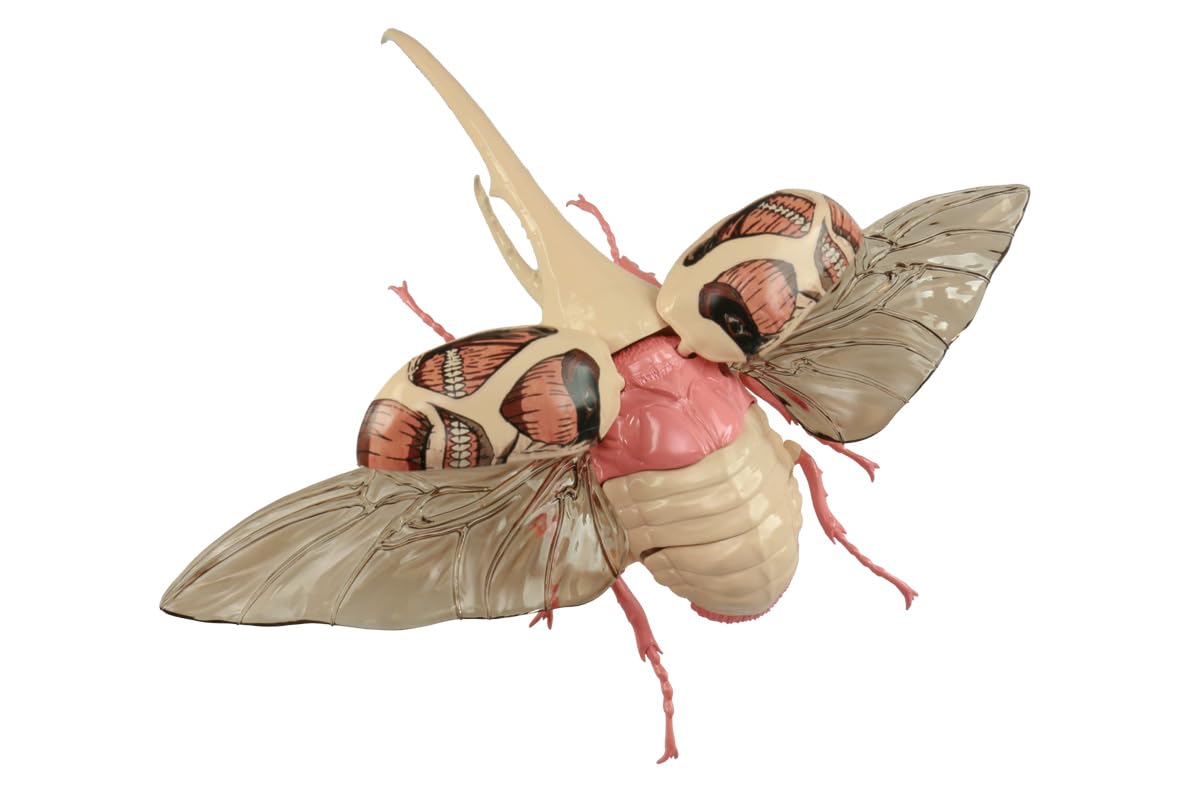 FUJIMI Model Kit Attack on Titan Hercules Beetle Colossal Titan Version