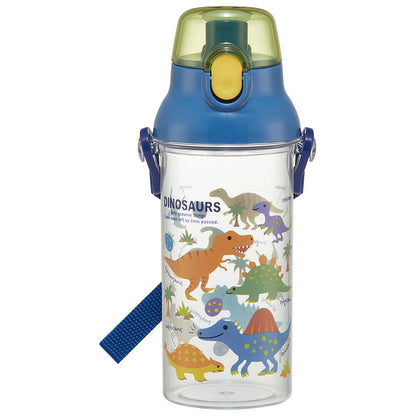 Skater Dinosaur Picture Water Bottle 480ml for Kids