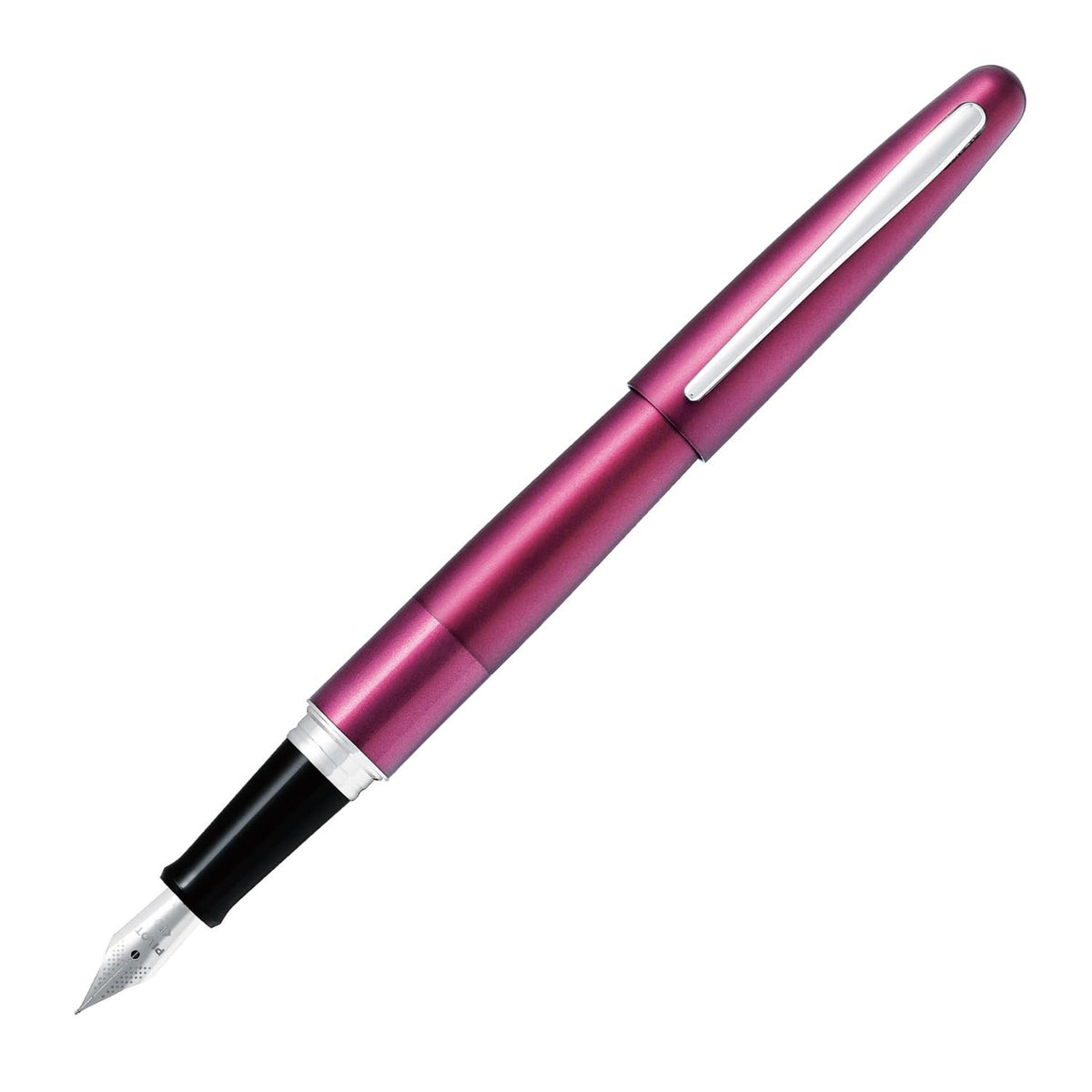 PILOT Fountain Pen Cocoon Fine Point Bordeaux