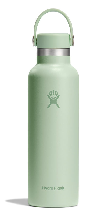 Hydro Flask Standard Mouth 21oz Water Bottle Aloe Green