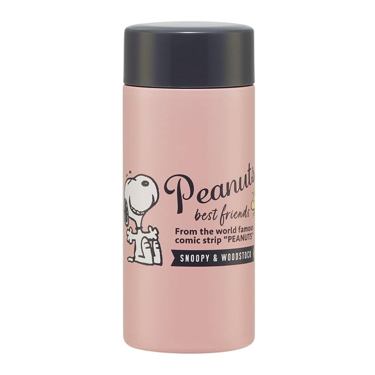 Skater Stainless Steel Lightweight 250ml Snoopy Bottle