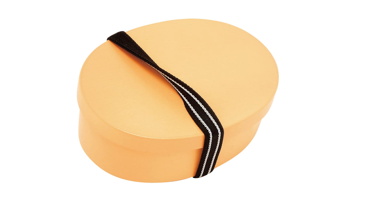 Tatsumiya Bento Box Beige Small Traditional Japanese Craft