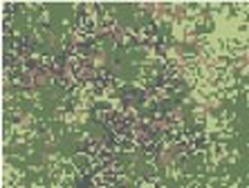 Cross Delta 1/35 Russian Army Digital Camouflage Decal Set