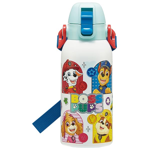 Skater Kids Water Bottle 600ml with Paw Patrol Design
