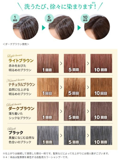 Sastty Hair Color Shampoo for Gray Hair 200ml Black