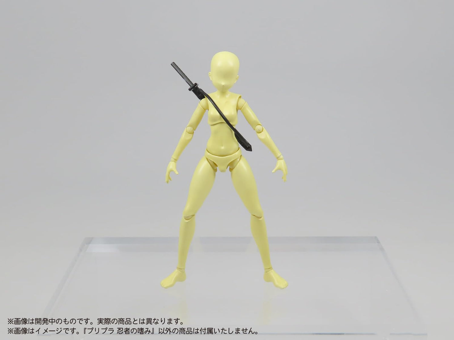 MIC Pliplat Ninja&