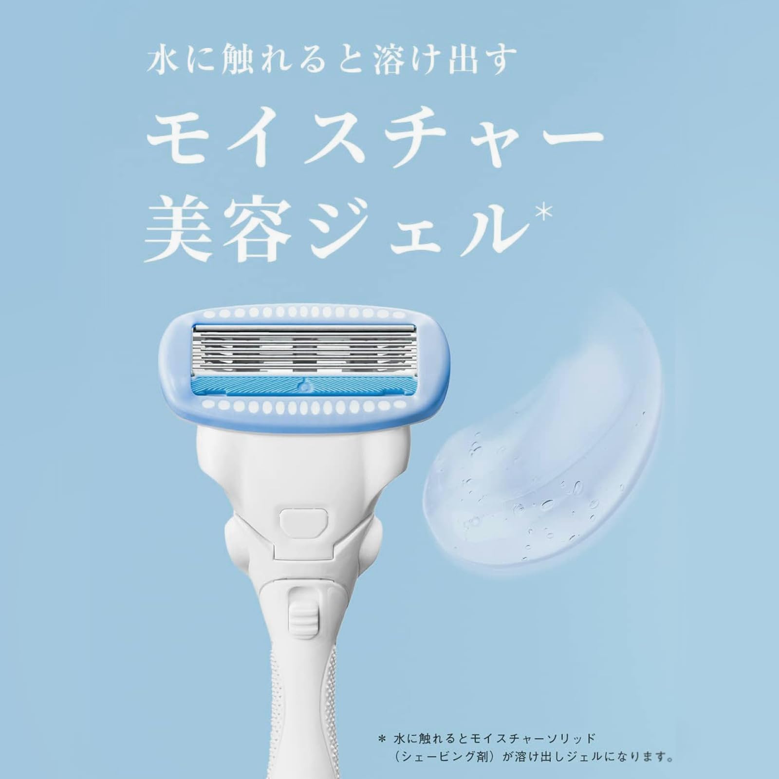 Schick Hydro Silk Salon Plus Holder with Skin Guard for Women