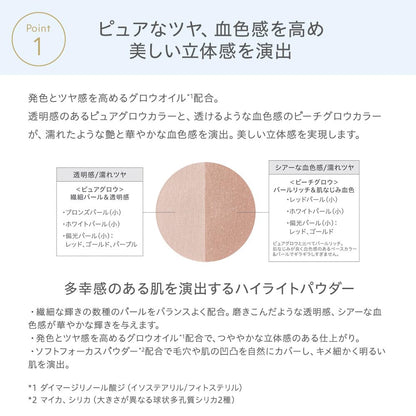 naturaglace Highlight Powder N 01 for Radiance and Color