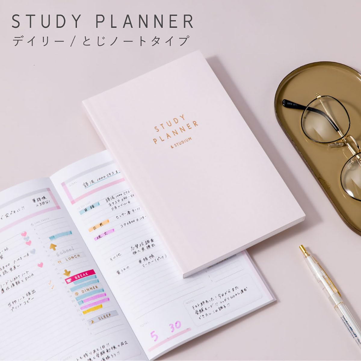 Iroha Publishing Study Planner Daily Notebook Pink GSS-01