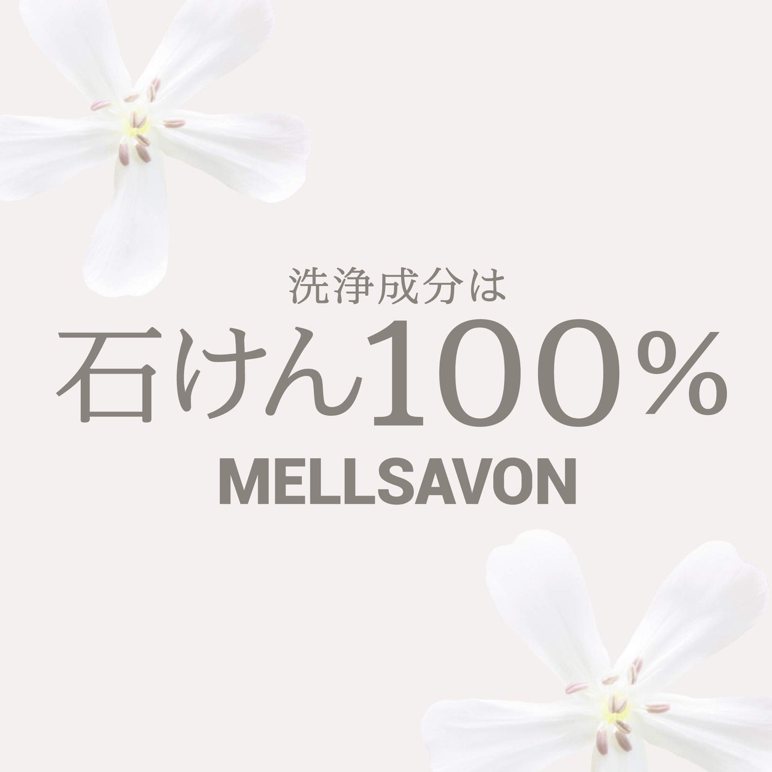 Mellsavon Body Wash Resting Flower 380mL Plumeria Scent