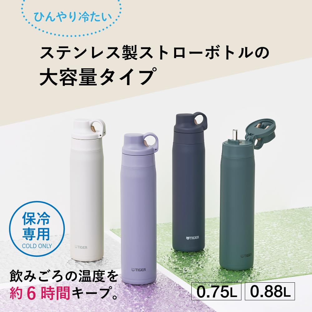TIGER Stainless Steel Water Bottle with Straw 880ml for Everyday Use