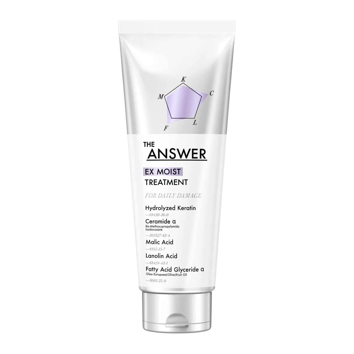 THE ANSWER EX Moist Treatment for Daily Damage 320g Hydrating Formula