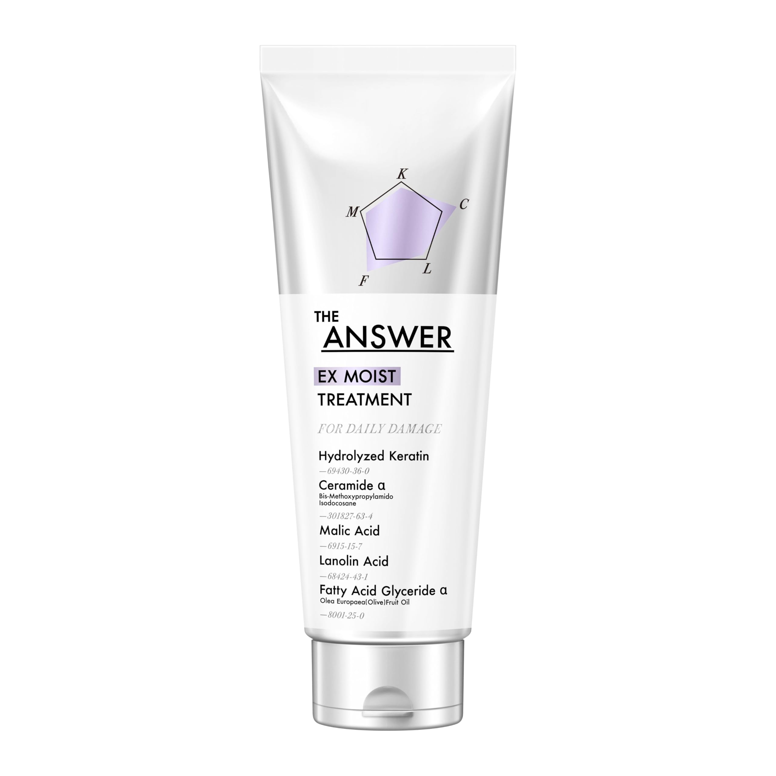 THE ANSWER EX Moist Treatment for Daily Damage 320g Hydrating Formula