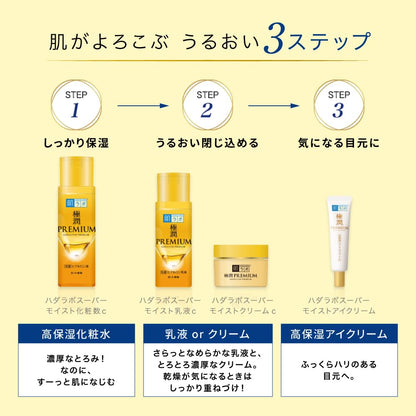 Hada Labo Premium Hyaluronic Lotion with Bonus Gift
