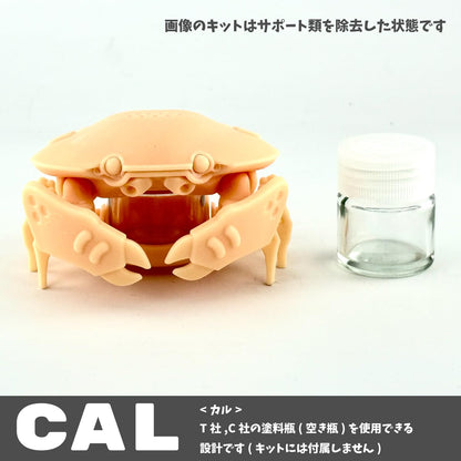 H.E.M.I X IPD 3D Printing Kit No.10 CAL for Creative Projects