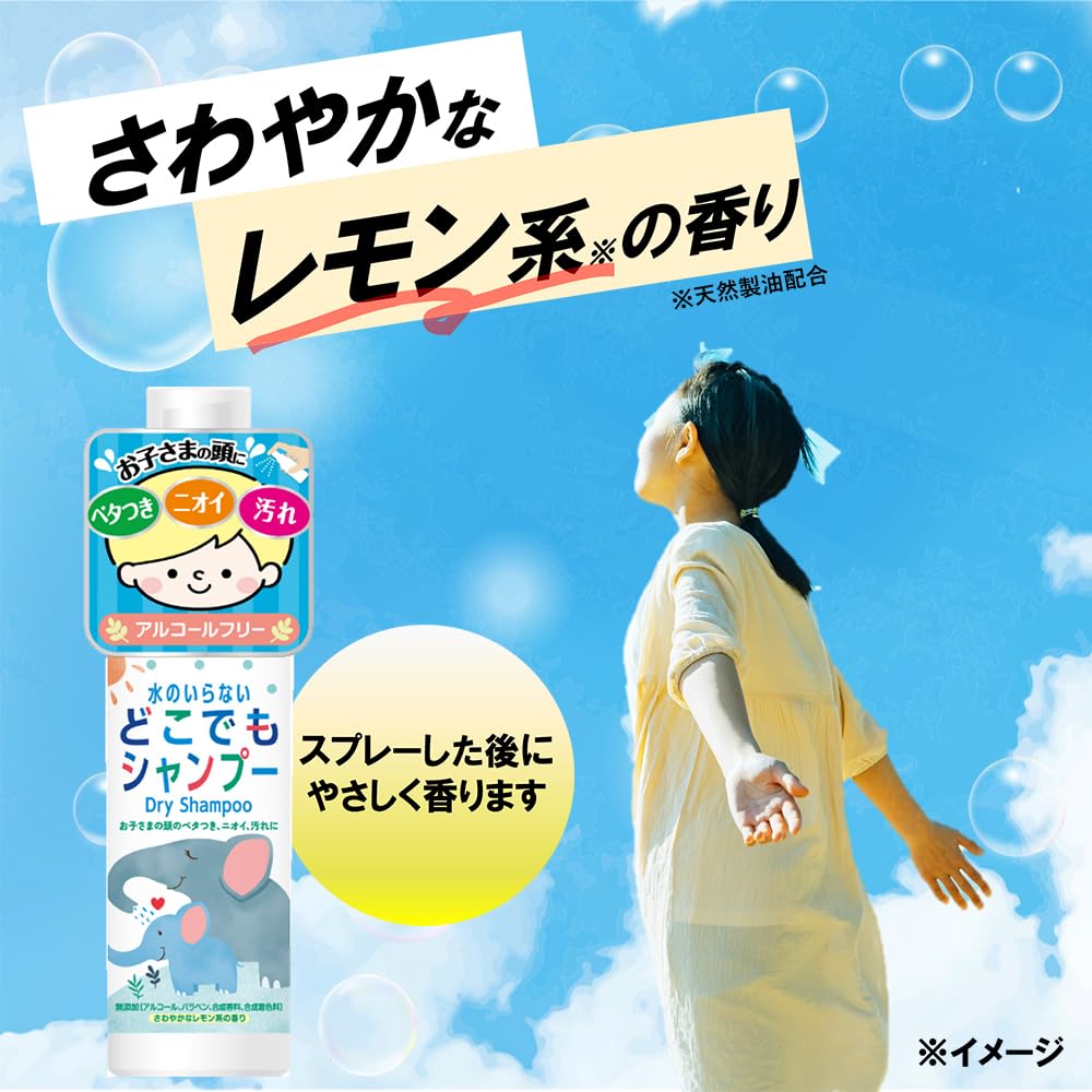 Nipponfuirin Dry Shampoo Spray 100ml Waterless Cleansing Solution