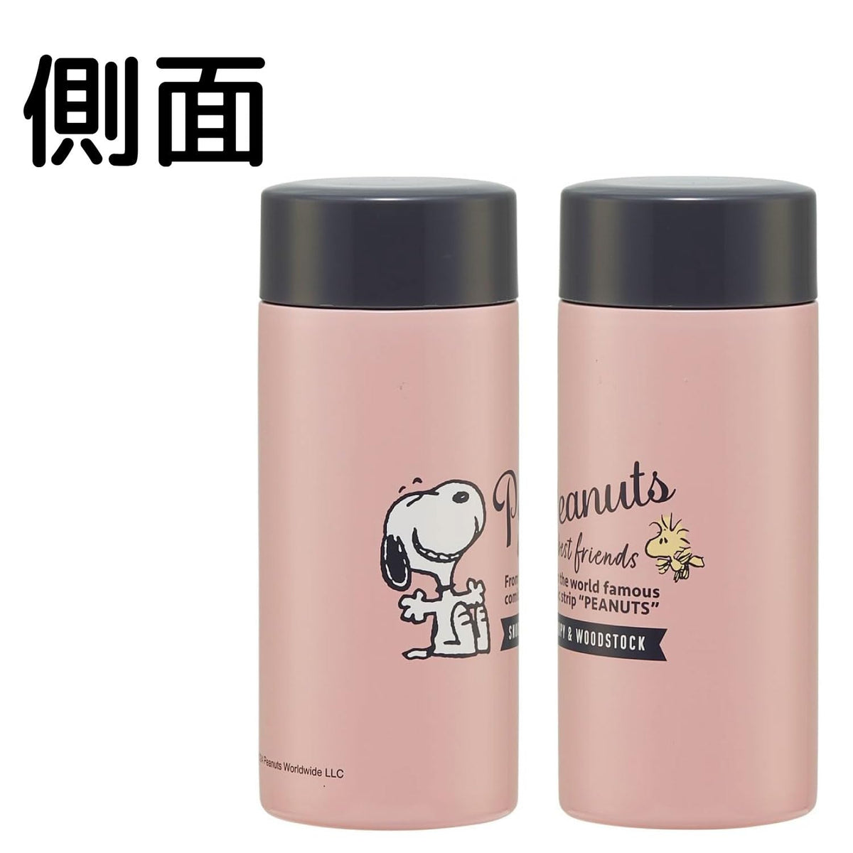 Skater Stainless Steel Lightweight 250ml Snoopy Bottle