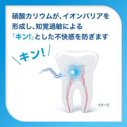 Schmitt Gentle Whitening EX Toothpaste with Toothbrush 1450ppm