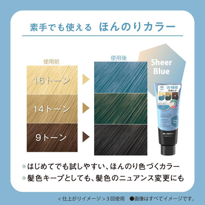 Anna Donna Every Color Treatment Shea Blue 160g for Vibrant Hair Color