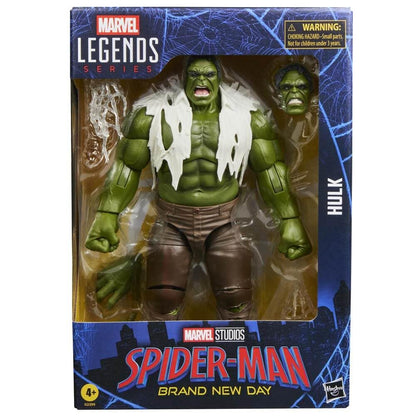 Hasbro Marvel Legends Series Hulk Action Figure 6 Inch Collectible