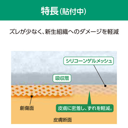 ALCARE Dressing Material for Protection and Coverage 7号