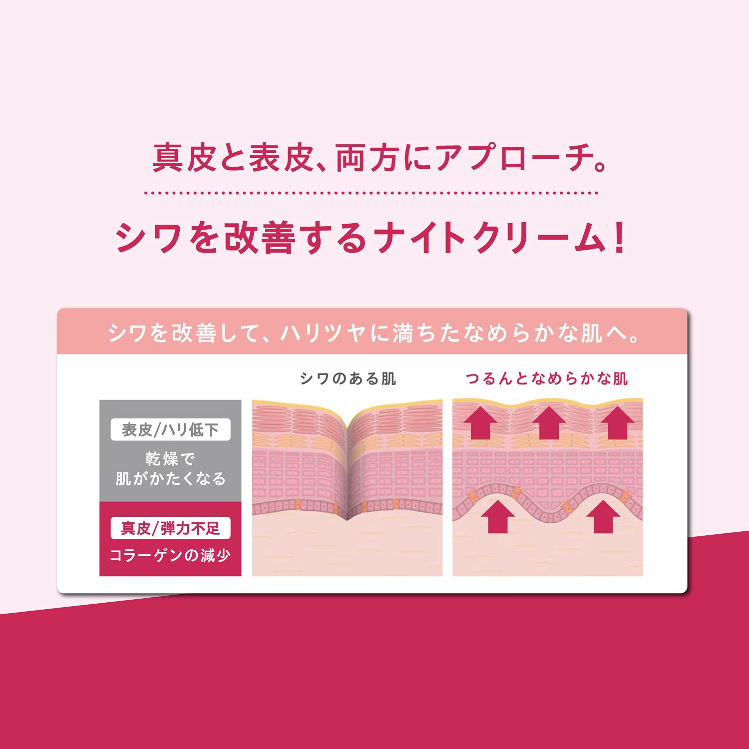 LECHERI Wrinkle Repair Night Cream 40g for Japanese Skincare