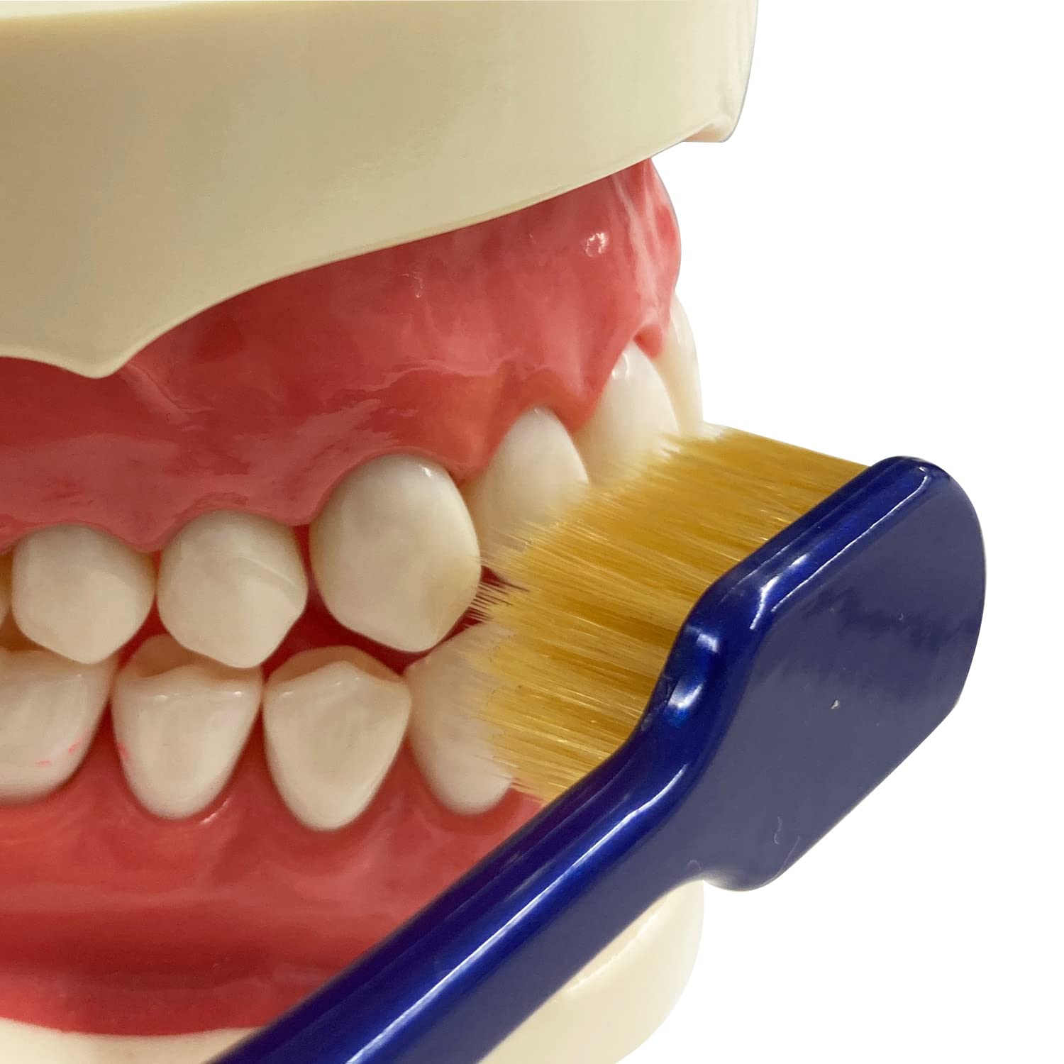Ebisu The Premium Care 7-Row Regular Soft Toothbrush