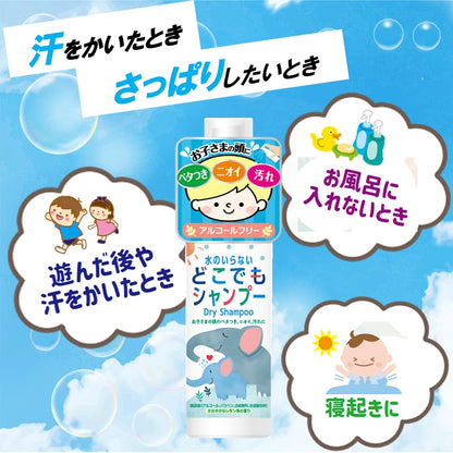 Nipponfuirin Dry Shampoo Spray 100ml Waterless Cleansing Solution