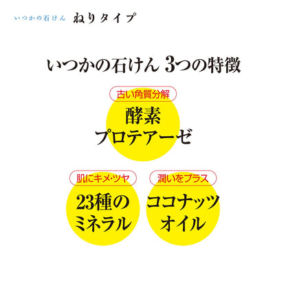 Mizuhashihojudouseiyaku Enzyme Face Wash Soap with Net 100g