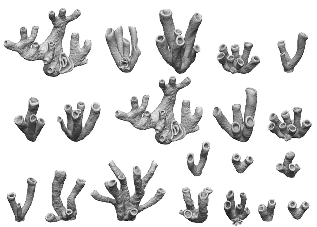 Green Stuff World Diorama Accessories Coral 3D Print Set of 20 for Models