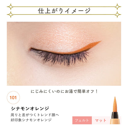 Blend Berry Playful Liquid Eyeliner 101 Cinnamon Orange