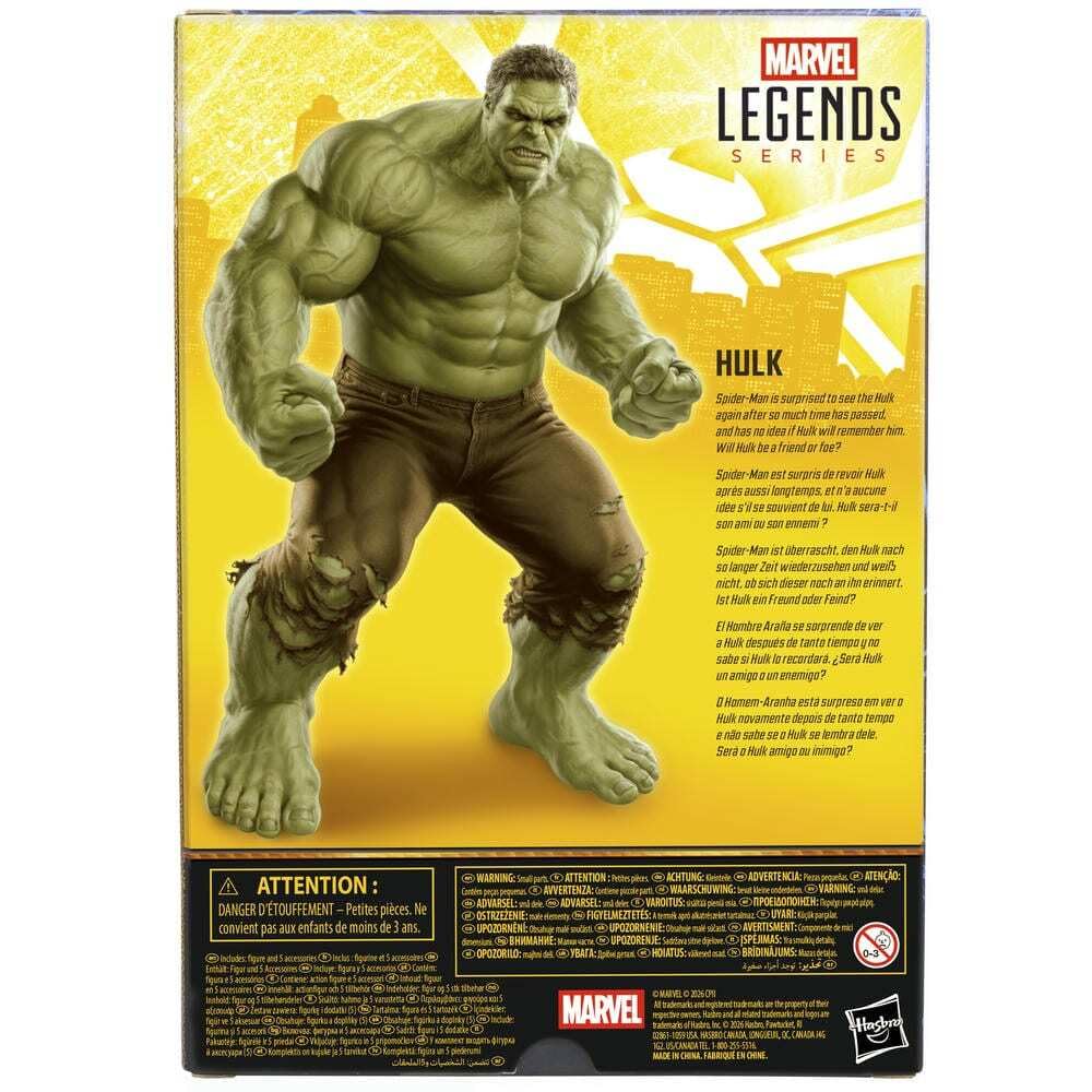 Hasbro Marvel Legends Series Hulk Action Figure 6 Inch Collectible
