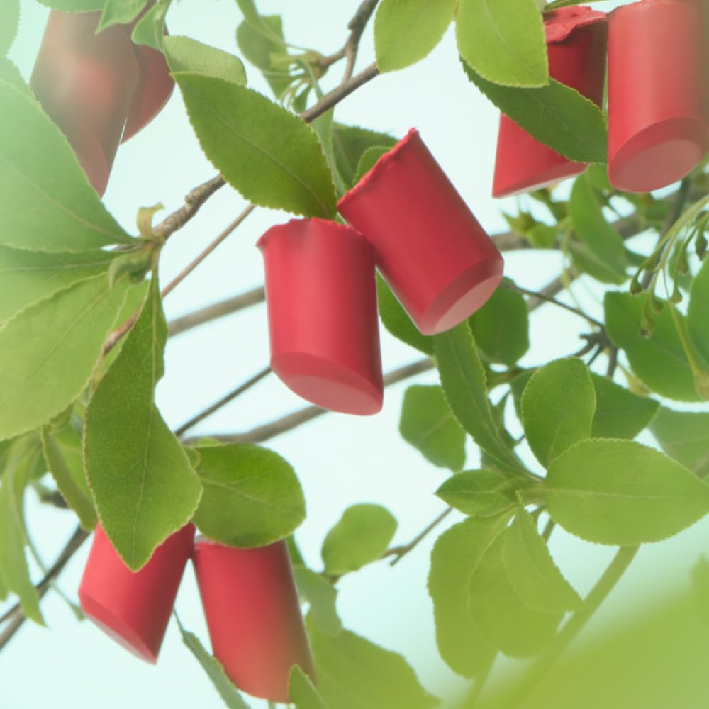 KANEBO Rouge Star Breeze EX5 Lipstick for a Luminous Finish