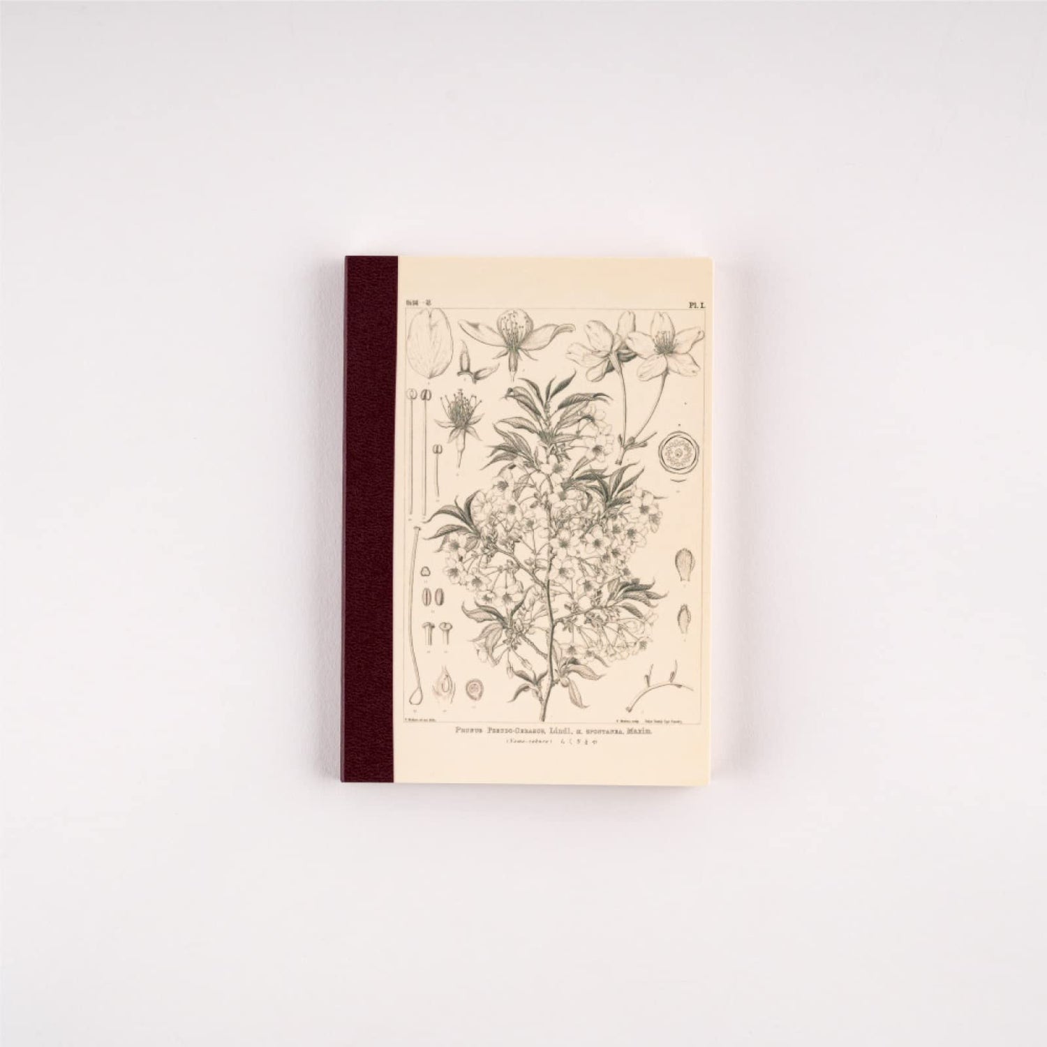 Hobonichi Techo A6 Notebook with 240 Pages and 3.7mm Grid