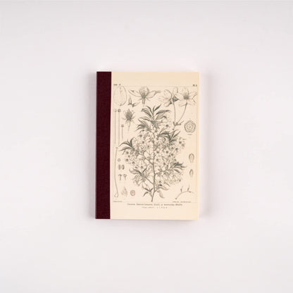 Hobonichi Techo A6 Notebook with 240 Pages and 3.7mm Grid