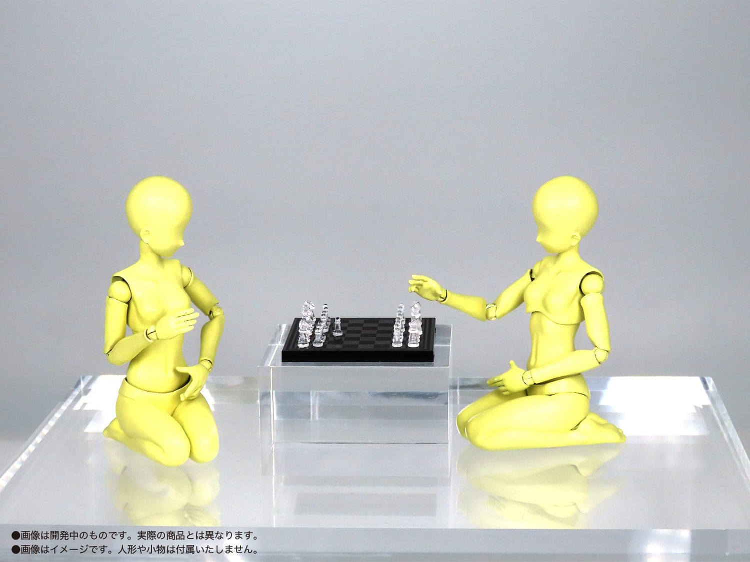 MIC Chess Figure Set Clear and Black Plastic Kit