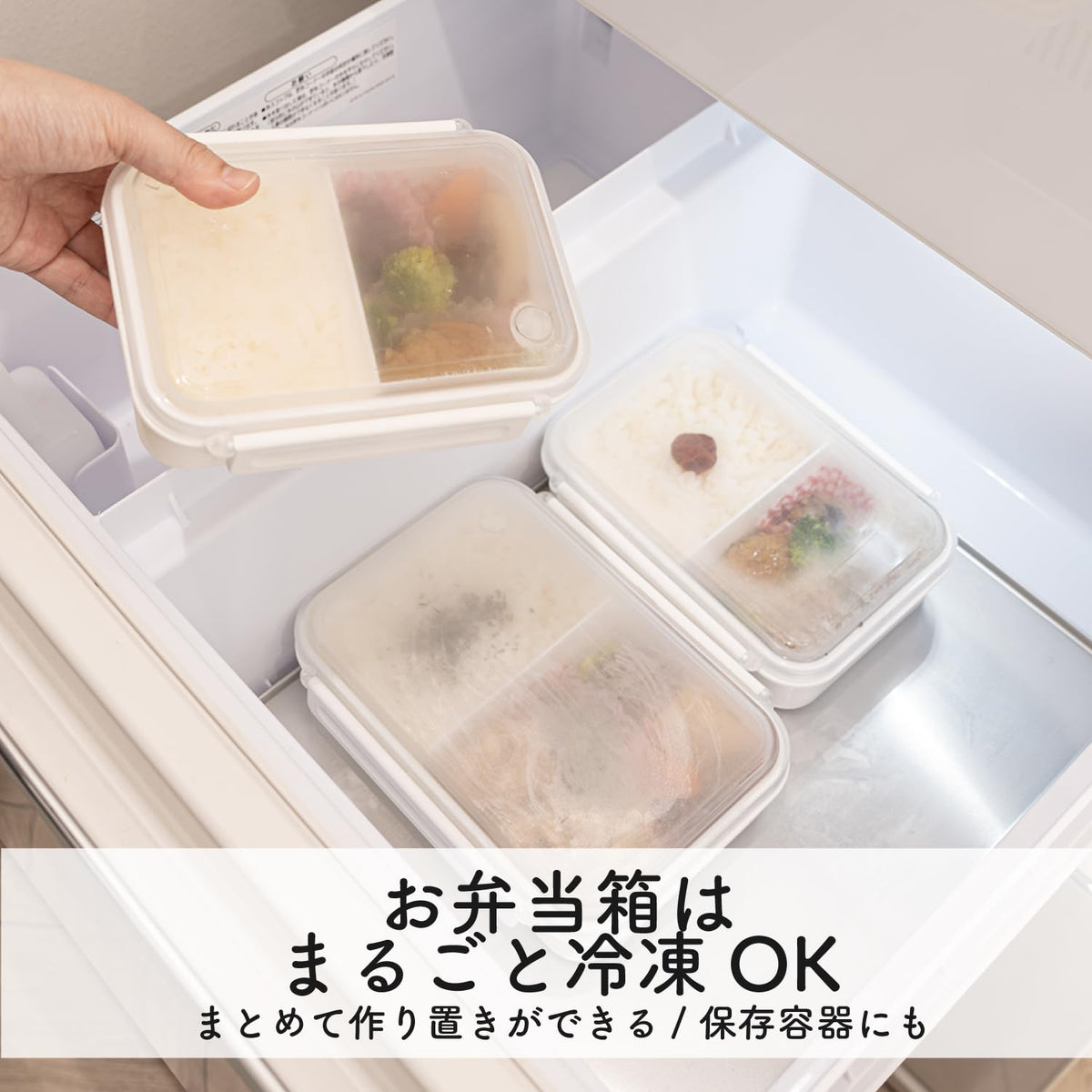 OSK Stylish Divided Freezer Bento Box 800ml for Meal Prep