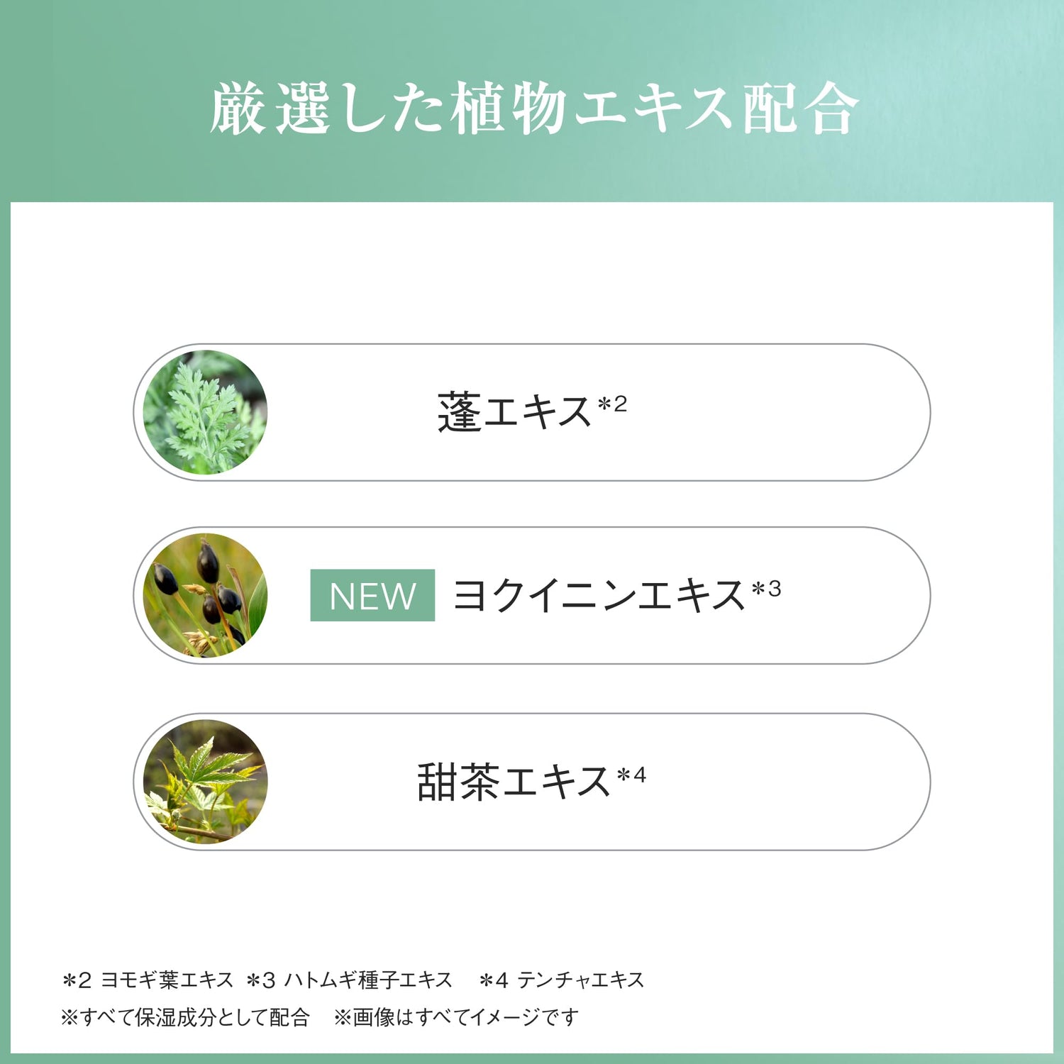 AYURA Yomogikusa-Yu Alpha Bath Powder 40g for Smooth Skin