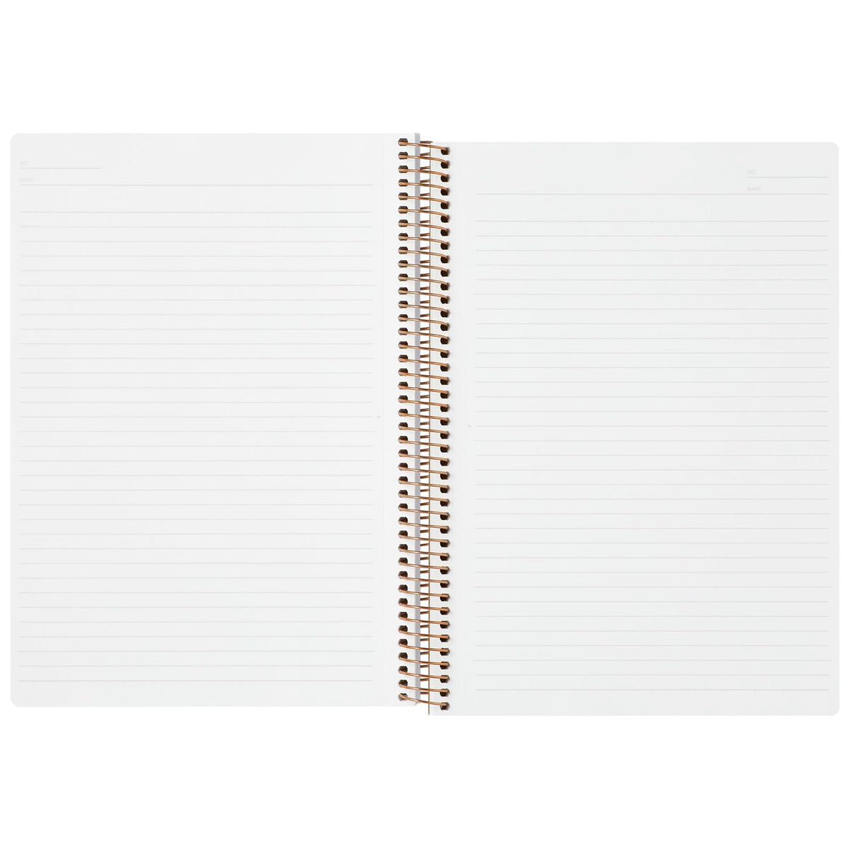 Maruman B5 Ring Notebook Light Gray 150 Pages for Everyday Use