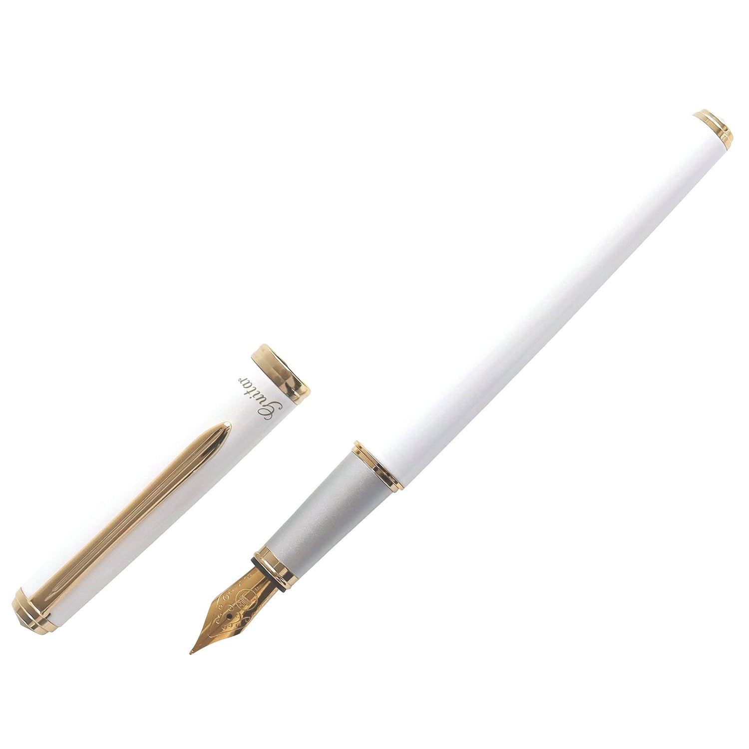 Teranishi Chemical Industry Guitar Fountain Pen Brillante White