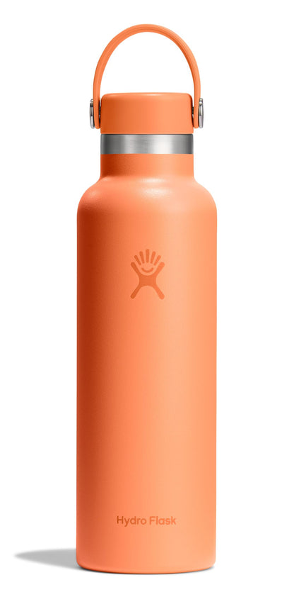 Hydro Flask Standard Mouth 21oz Nectar Bottle for Hydration