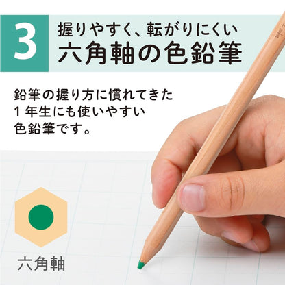 Tombow Color Pencils 12 Colors Hexagonal Design for Students