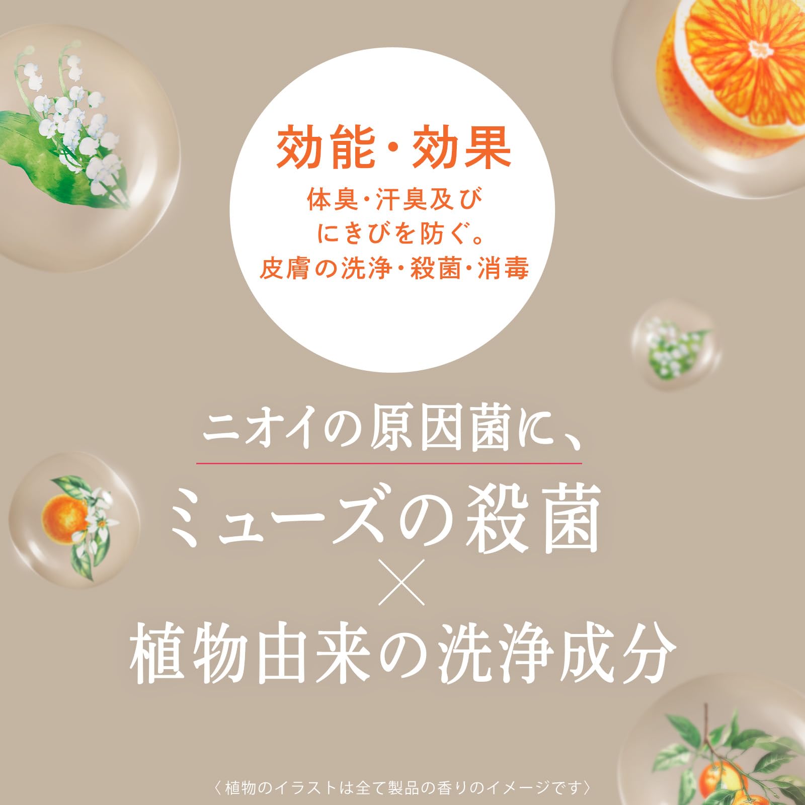Muse Botanical Body Wash 500ml with Orange Blossom and Fresh Citrus Aroma