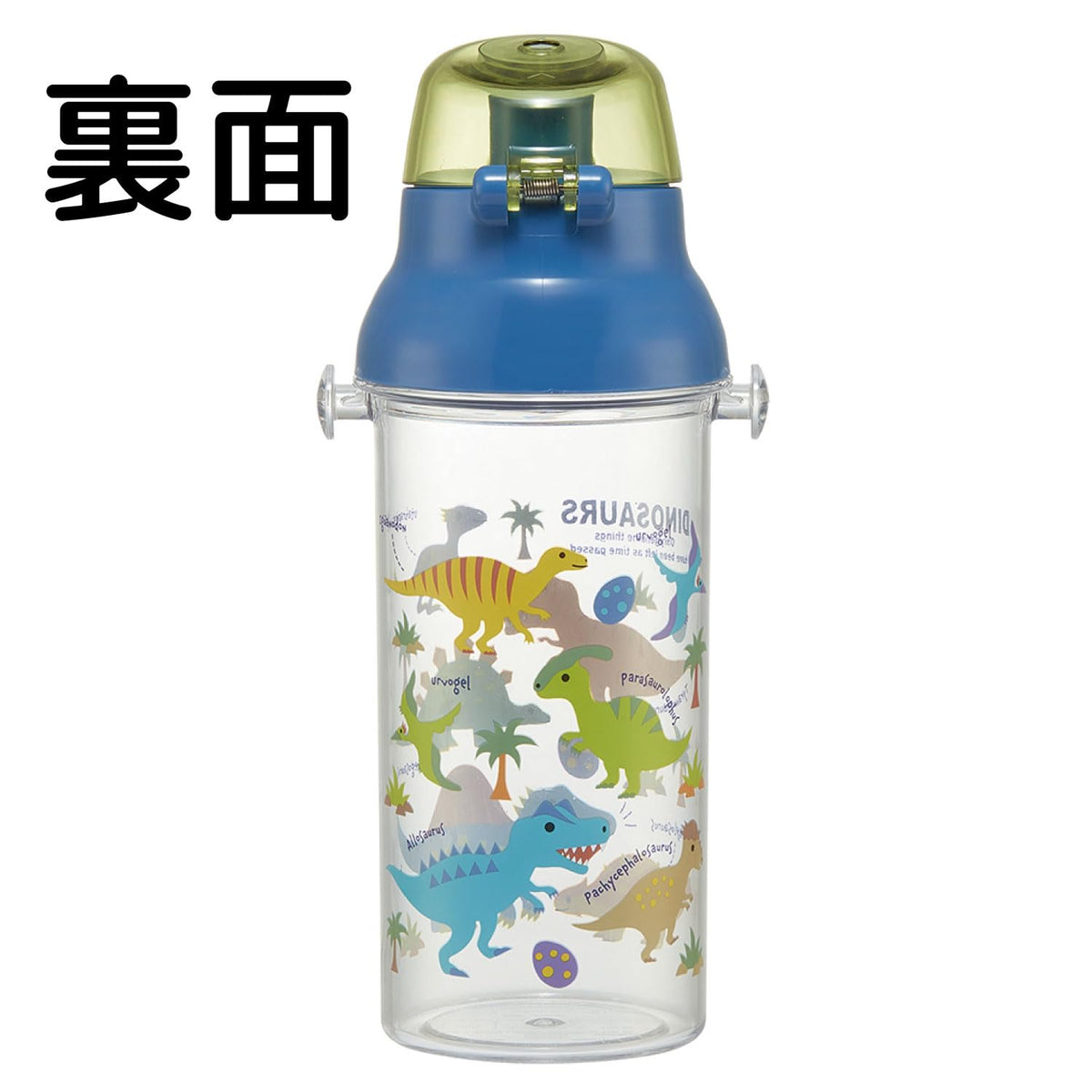 Skater Dinosaur Picture Water Bottle 480ml for Kids