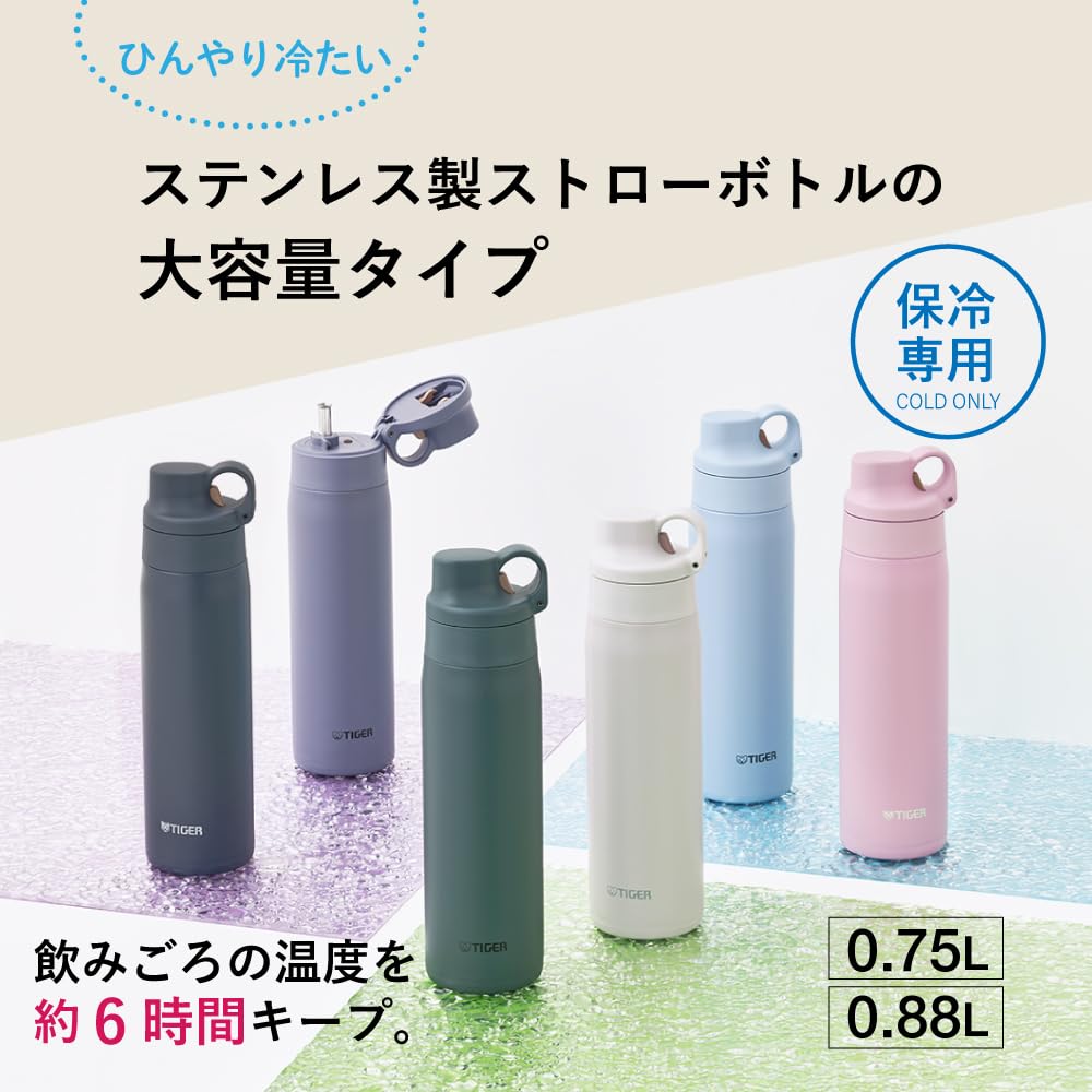 TIGER Stainless Steel Water Bottle with Straw 750ml for Everyday Use