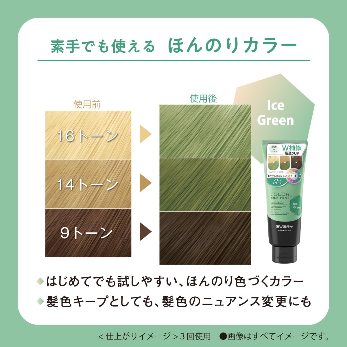 Anna Donna Every Color Treatment Ice Green 160g for Japanese Hair Care