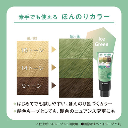 Anna Donna Every Color Treatment Ice Green 160g for Japanese Hair Care