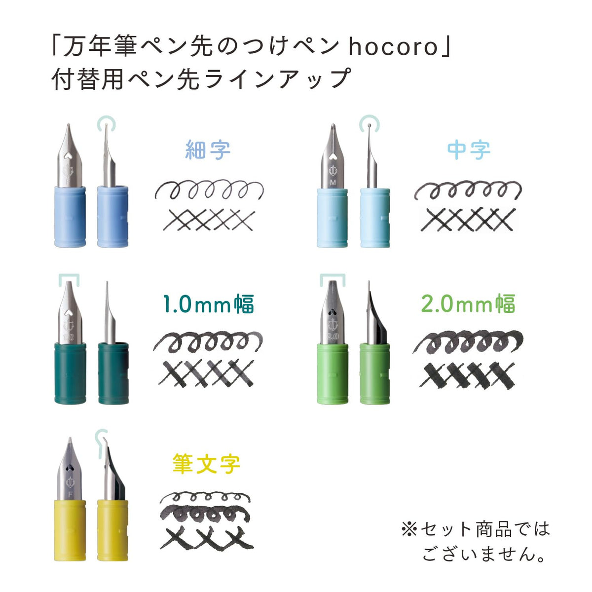 Sailor Fountain Pen Hocoro Gray with Flexible Nib