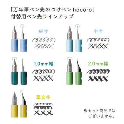 Sailor Fountain Pen Hocoro Gray with Flexible Nib